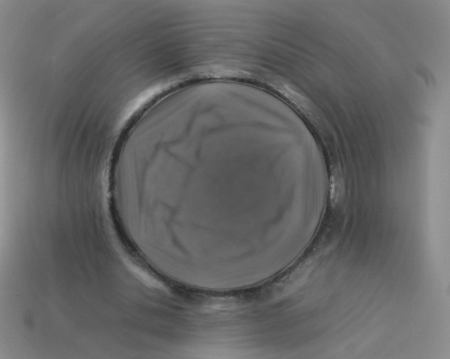 X0000113370438200910131324