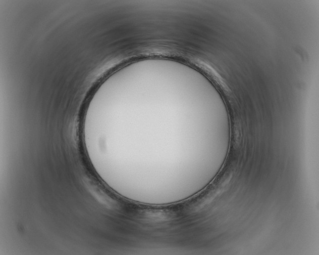 X0000113370439200910131324