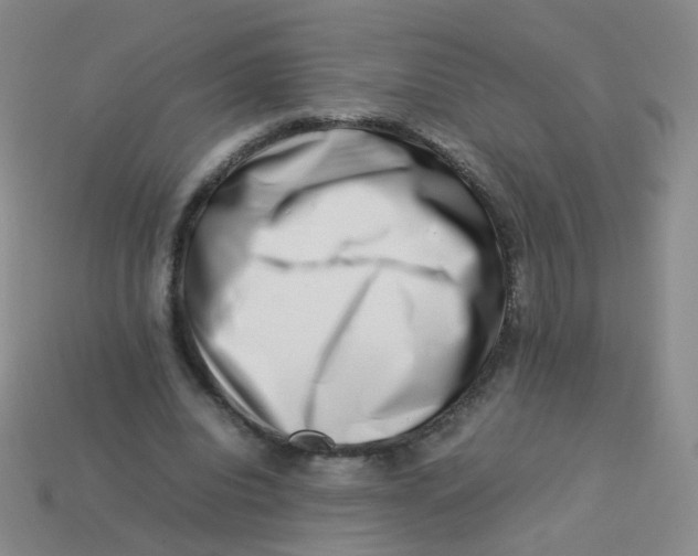 X0000113370440200910131324