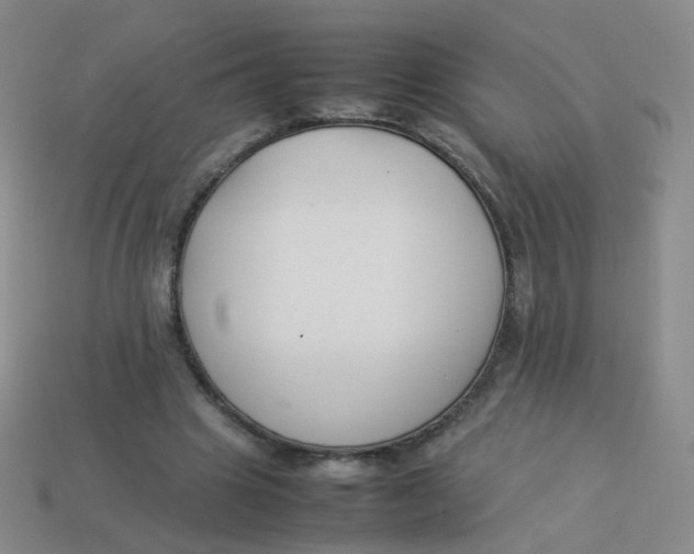 X0000113370441200910131324