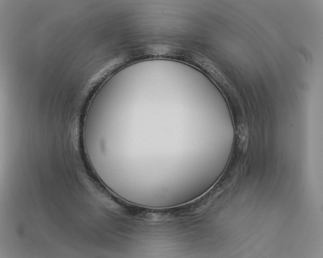 X0000113370442200910131324