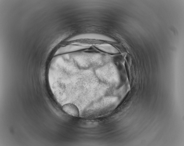X0000113370443200910131324