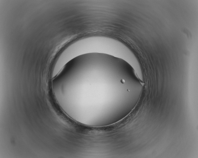 X0000113370444200910131324