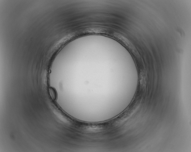 X0000113370445200910131324