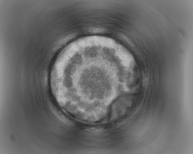 X0000113370447200910131324