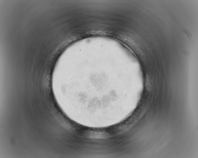 X0000113370449200910131324