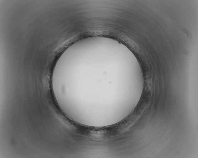 X0000113370450200910131324