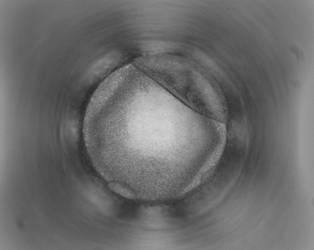 X0000113370452200910131324