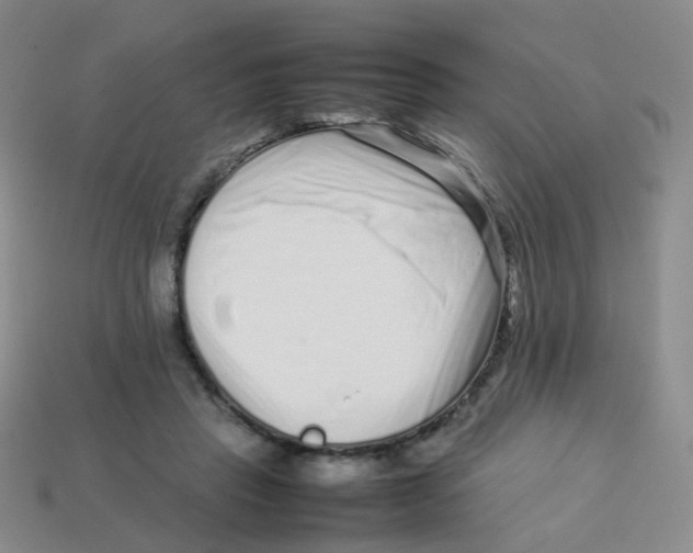 X0000113370453200910131324
