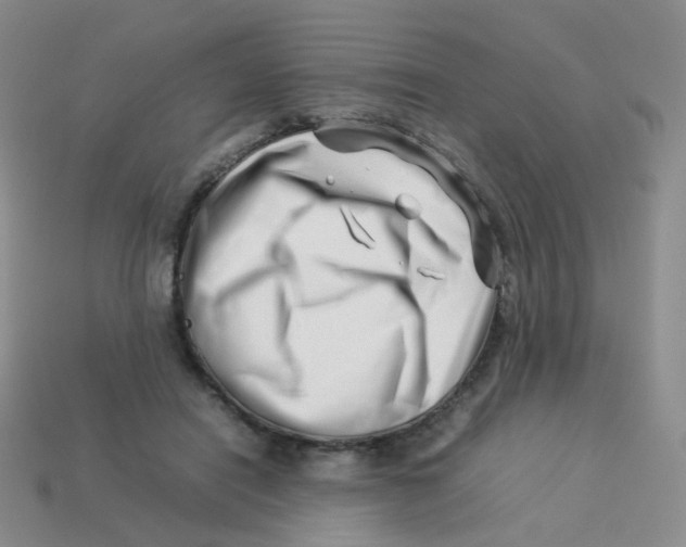 X0000113370454200910131324