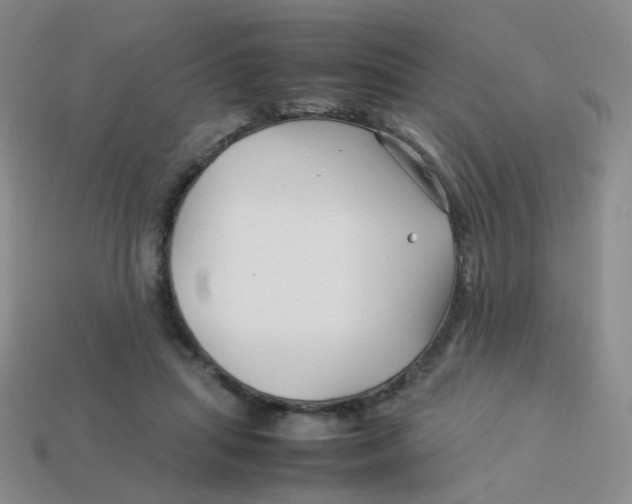 X0000113370455200910131324