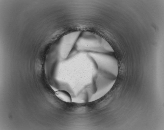 X0000113370456200910131324