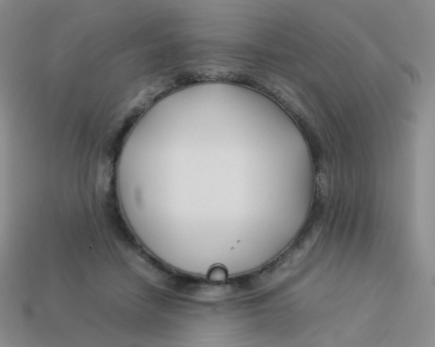 X0000113370458200910131324