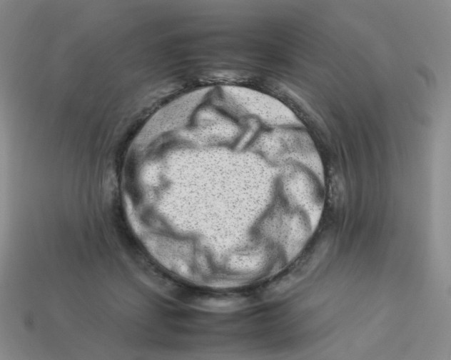 X0000113370459200910131324