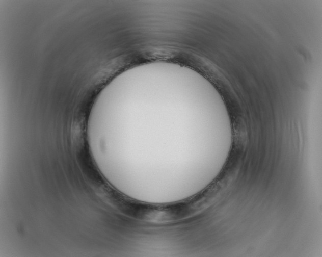 X0000113370460200910131324