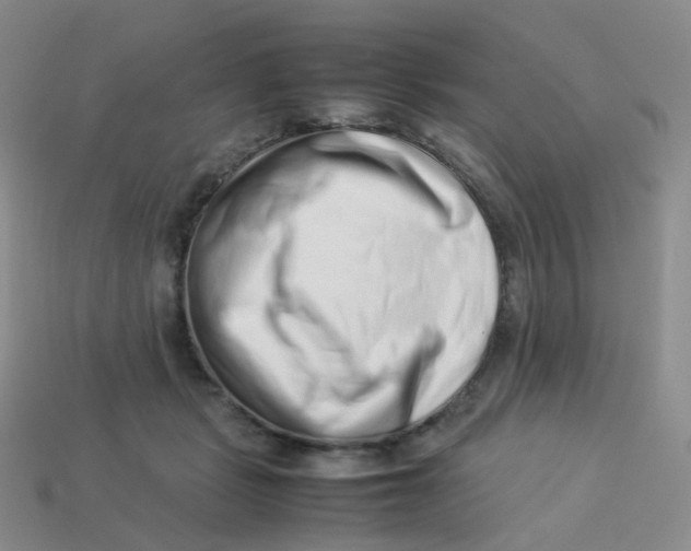 X0000113370461200910131324