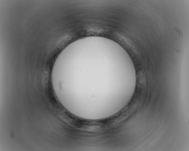 X0000113370463200910131324