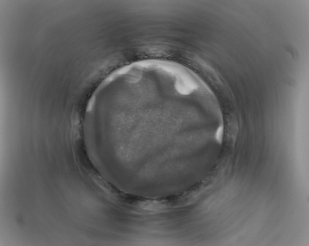 X0000113370465200910131324