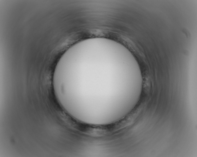 X0000113370466200910131324