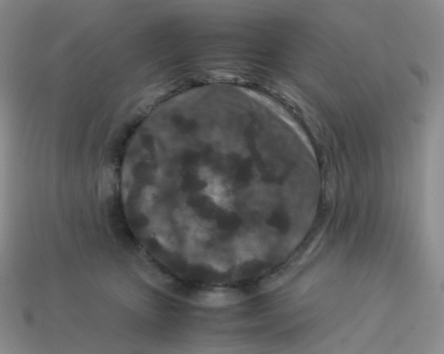 X0000113370467200910131324