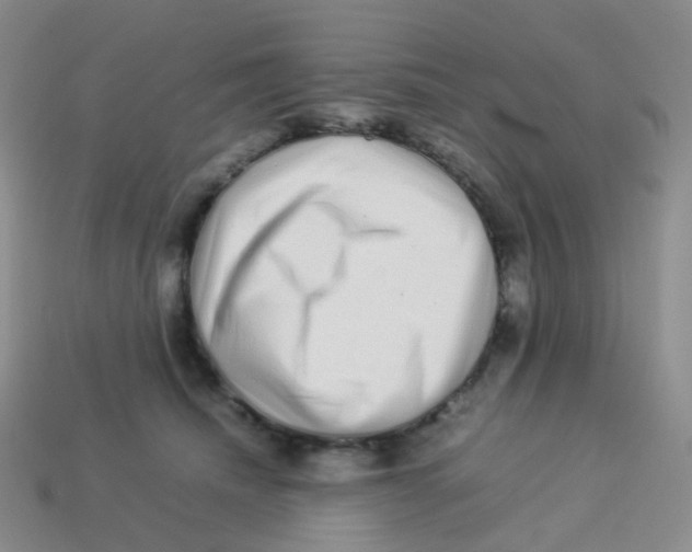 X0000113370468200910131324