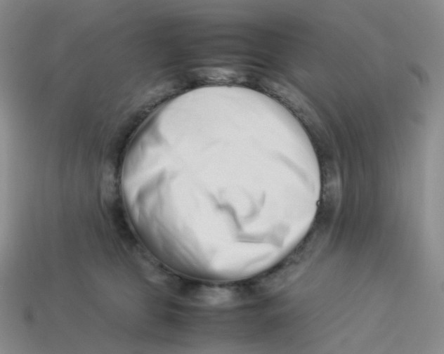 X0000113370469200910131324