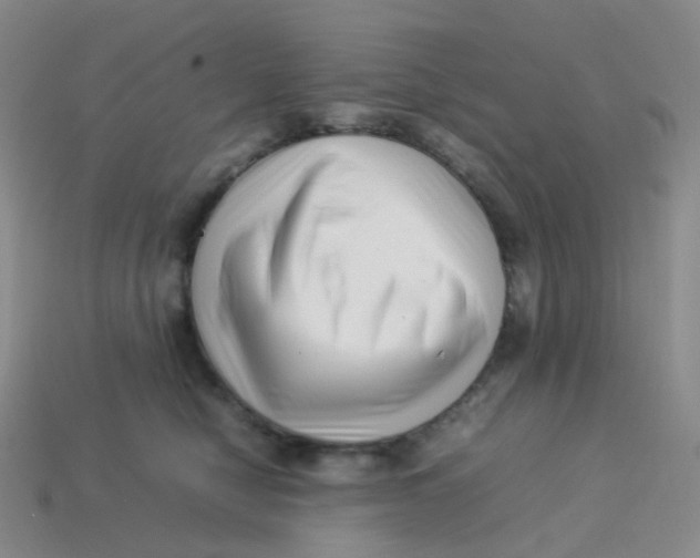 X0000113370470200910131324