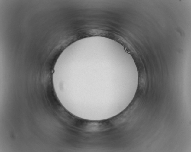 X0000113370473200910131324