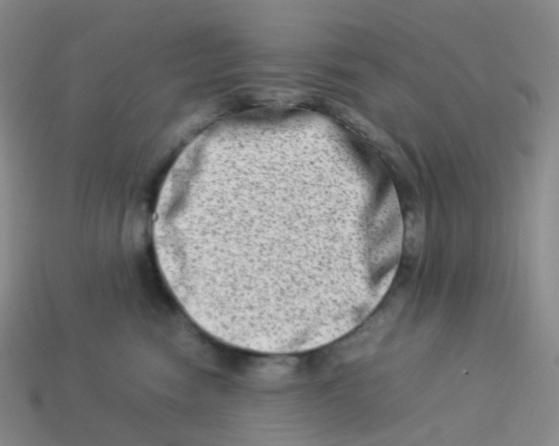 X0000113370474200910131324