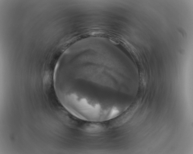 X0000113370475200910131324