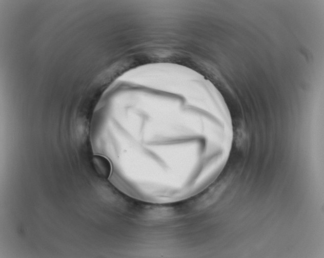 X0000113370476200910131324