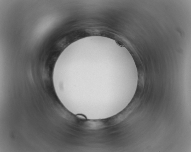 X0000113370477200910131324
