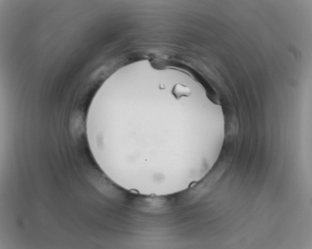 X0000113370478200910131324