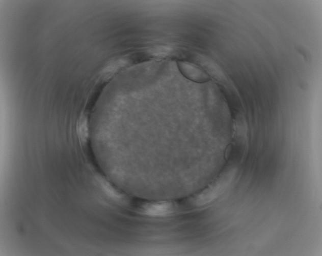X0000113370479200910131324