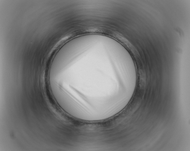 X0000113370482200910131324
