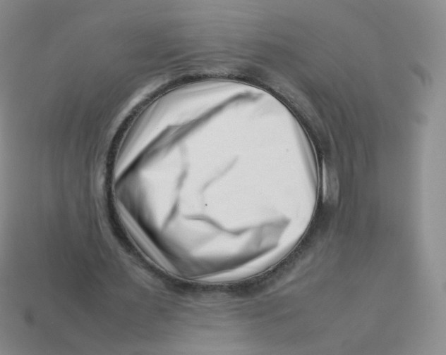X0000113370483200910131324