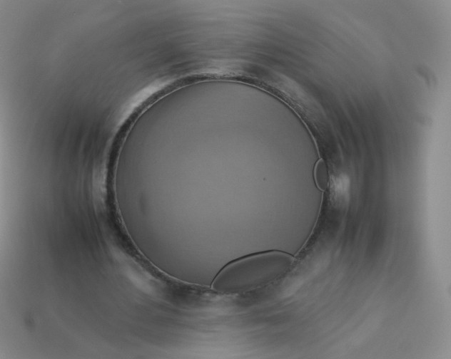 X0000113370484200910131324