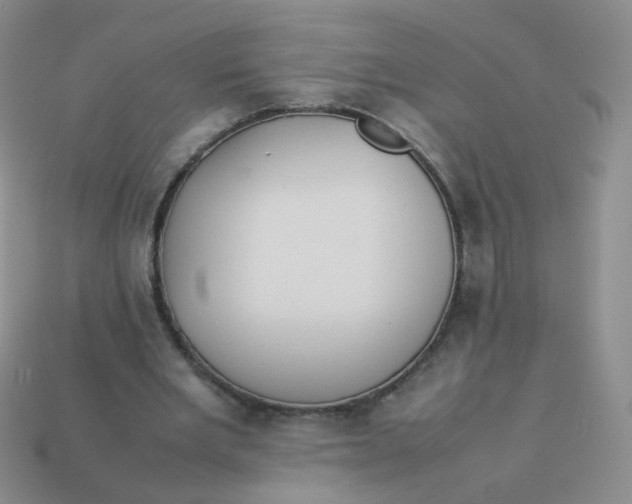 X0000113370485200910131324