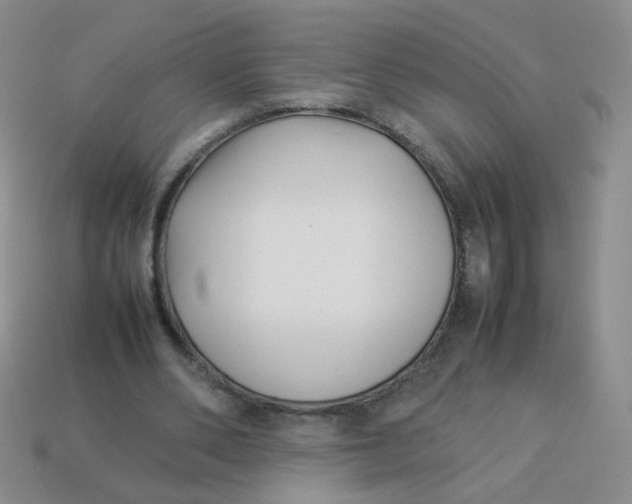 X0000113370486200910131324