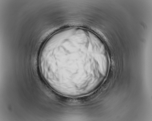 X0000113370487200910131324