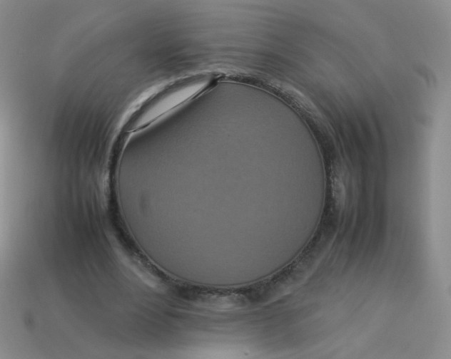 X0000113370488200910131324