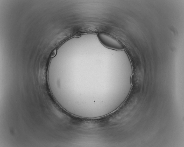 X0000113370489200910131324