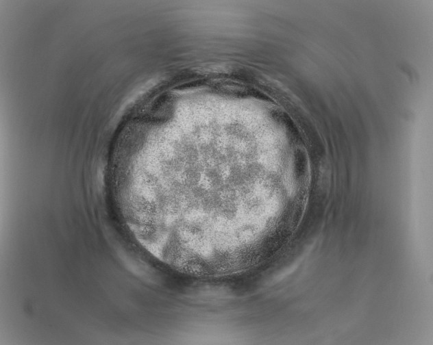 X0000113370491200910131324