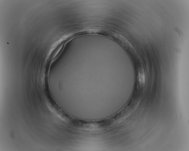 X0000113370492200910131324