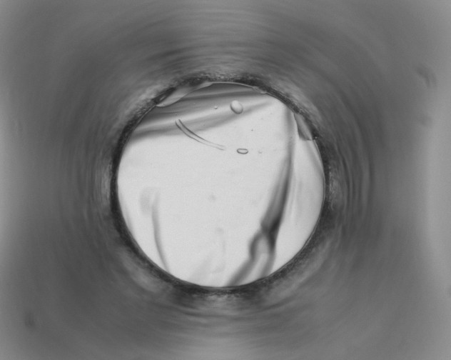 X0000113370493200910131324