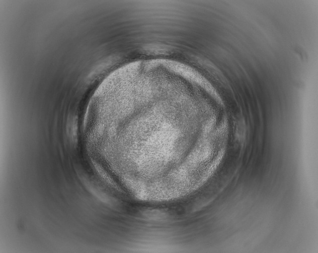 X0000113370494200910131324