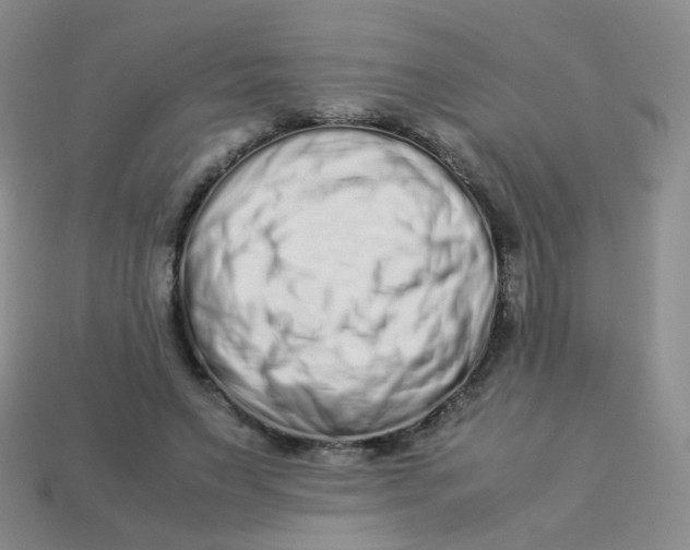 X0000113370495200910131324