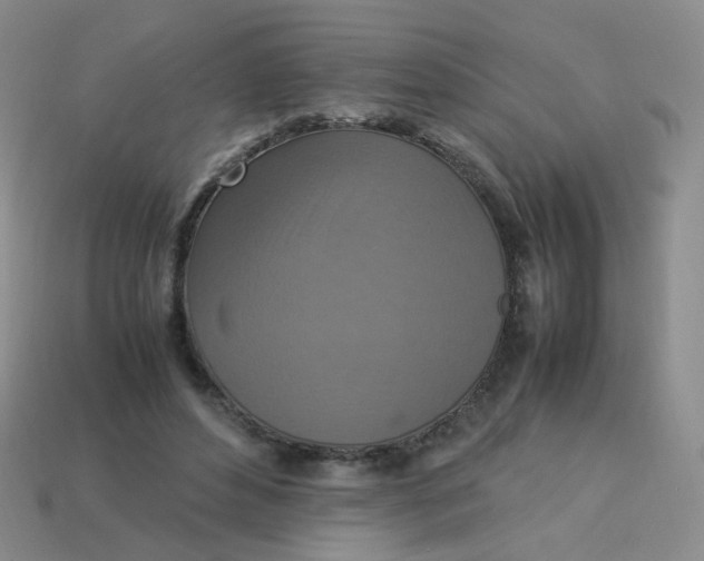 X0000113370496200910131324