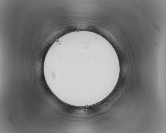 X0000113370497200910131324
