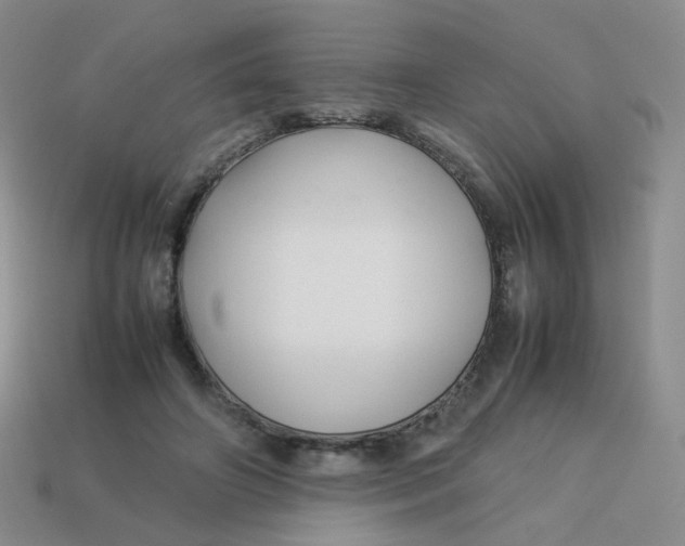 X0000113370498200910131324